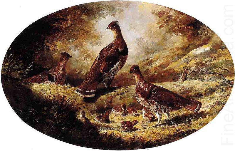Ferdinand Richardt Grouse Family china oil painting image